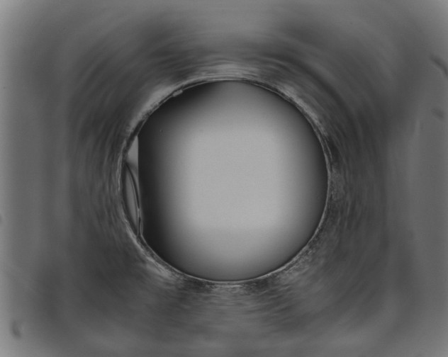 X0000097801477200803281024