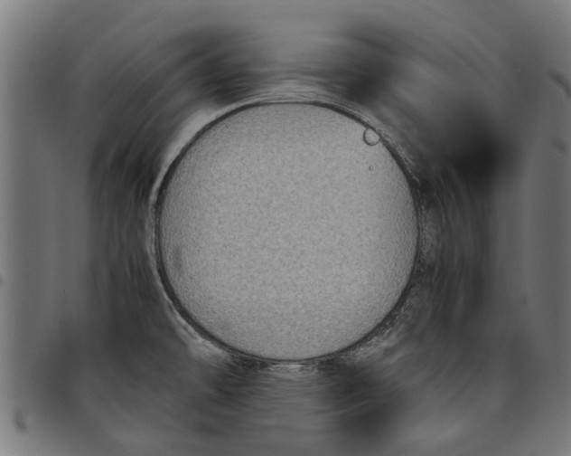 X0000097801478200803281024