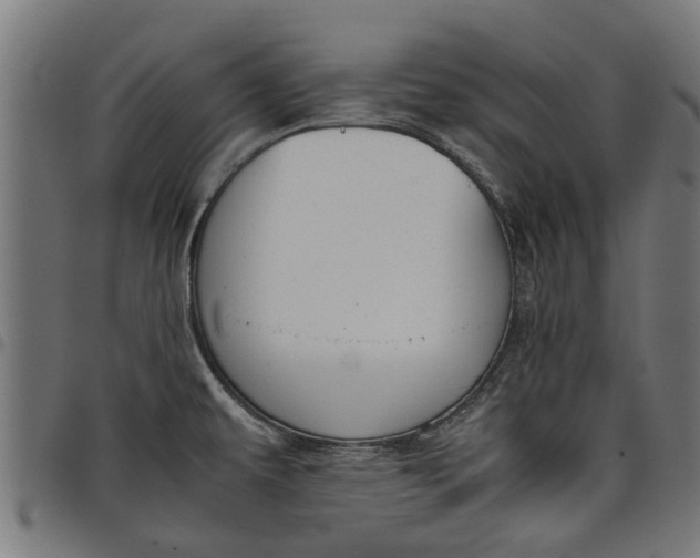 X0000097801479200803281024