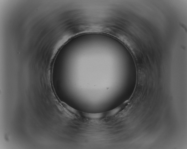 X0000097801480200803281024