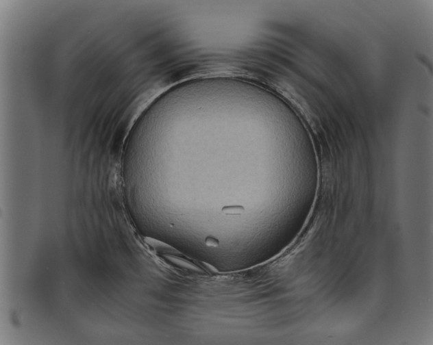 X0000097801481200803281024