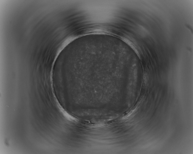 X0000097801482200803281024