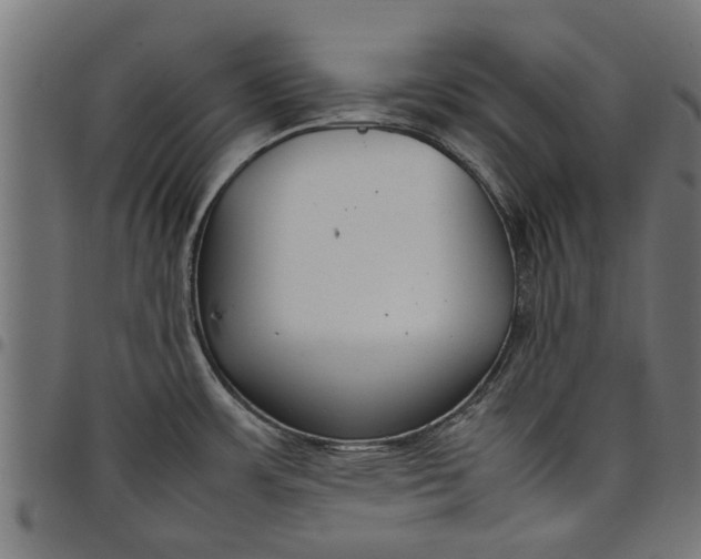 X0000097801483200803281024