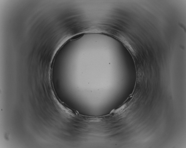 X0000097801484200803281024