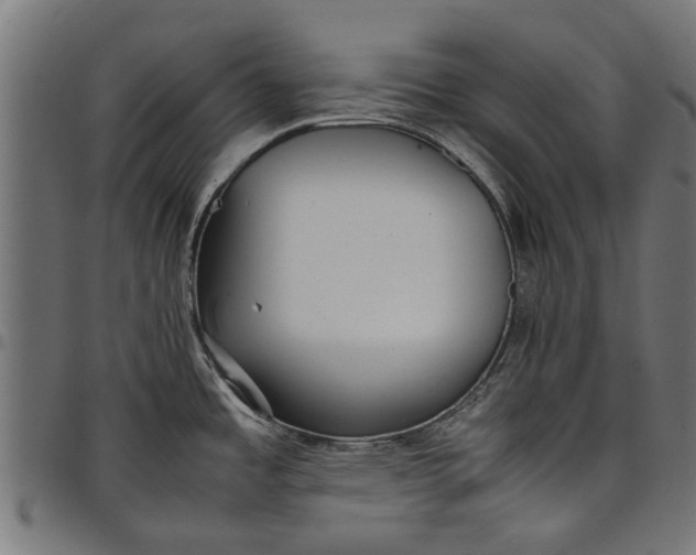 X0000097801485200803281024