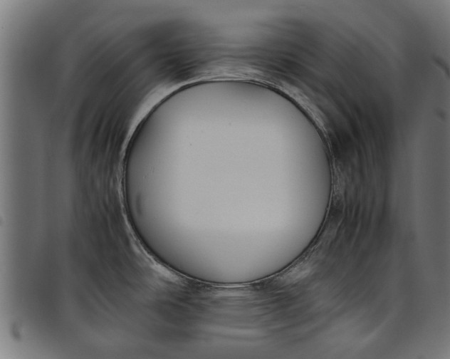 X0000097801486200803281024