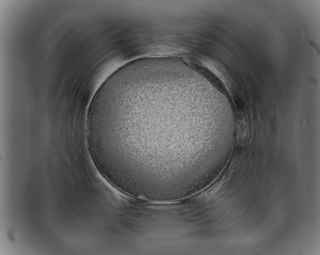 X0000097801487200803281024