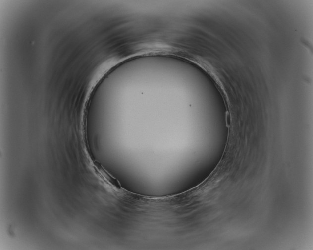 X0000097801488200803281024