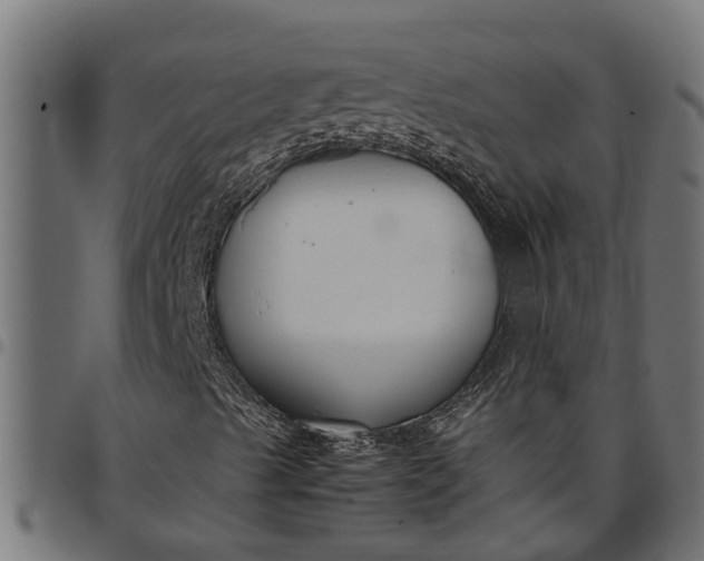 X0000097801489200803281023