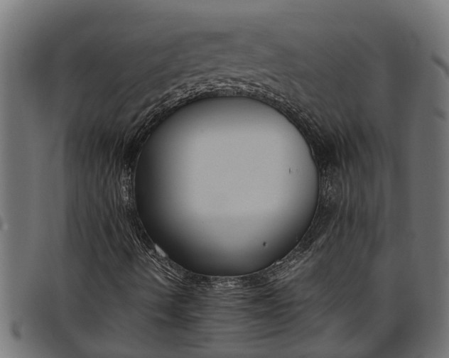 X0000097801490200803281023