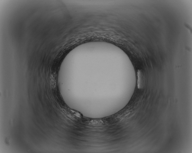 X0000097801491200803281023