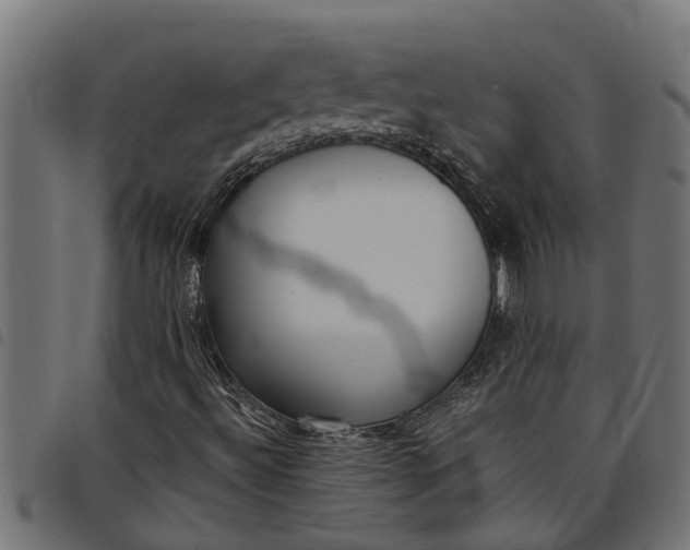 X0000097801492200803281023