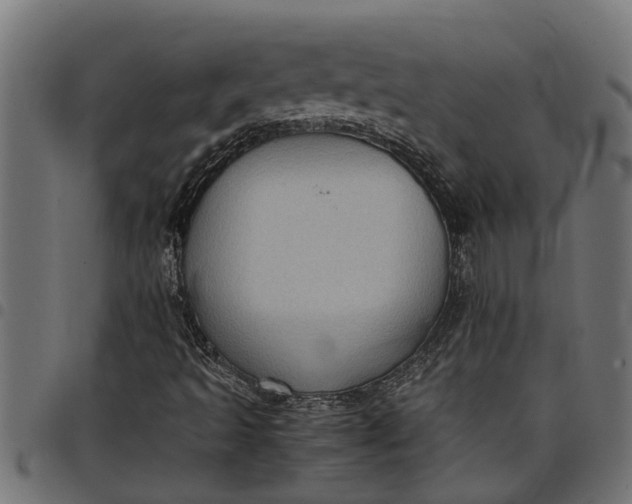 X0000097801493200803281023