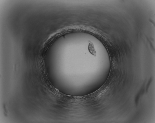 X0000097801494200803281023