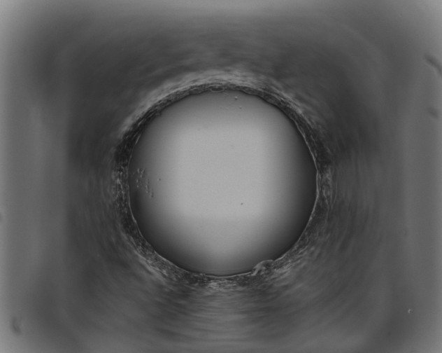 X0000097801496200803281023