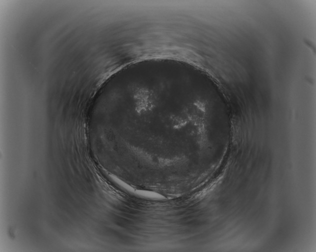 X0000097801497200803281023