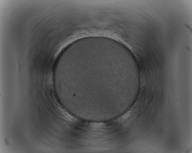 X0000097801498200803281023