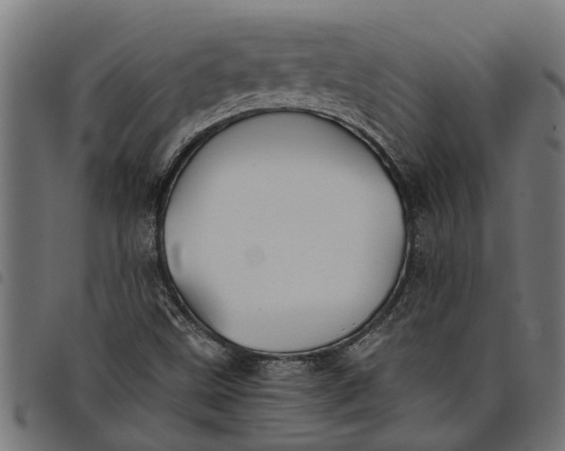 X0000097801499200803281023