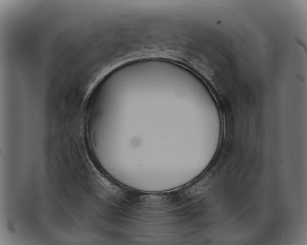 X0000097801500200803281023