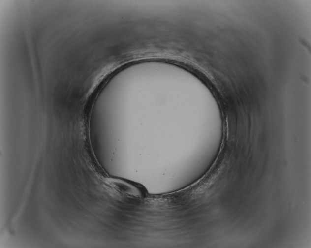 X0000097801501200803281023