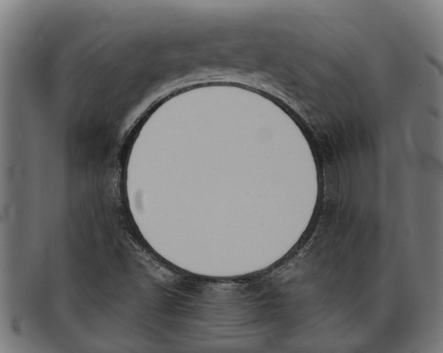 X0000097801502200803281023