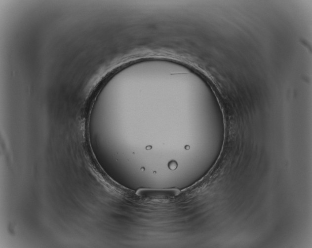 X0000097801503200803281023