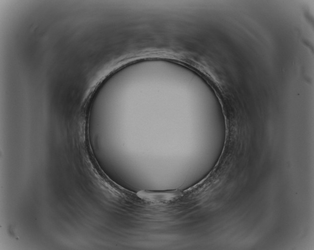 X0000097801504200803281023