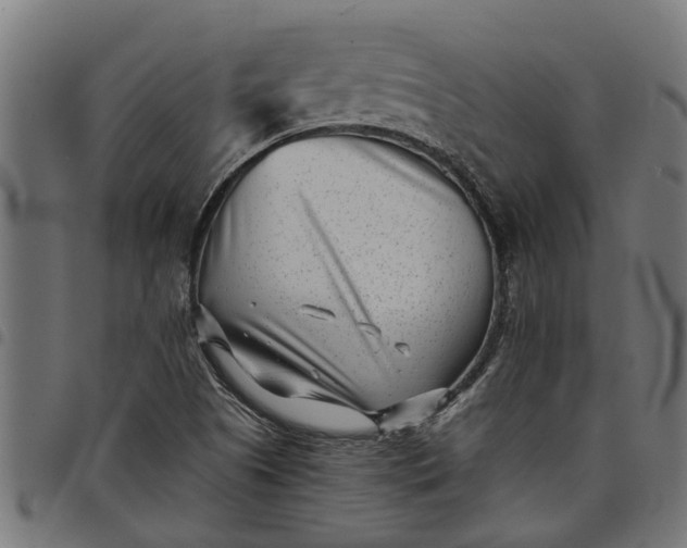 X0000097801505200803281023