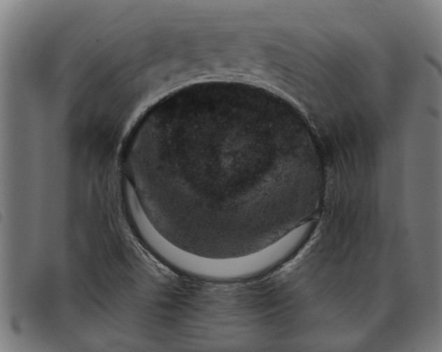 X0000097801506200803281023