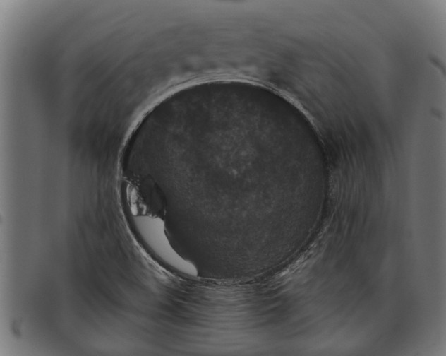 X0000097801508200803281023