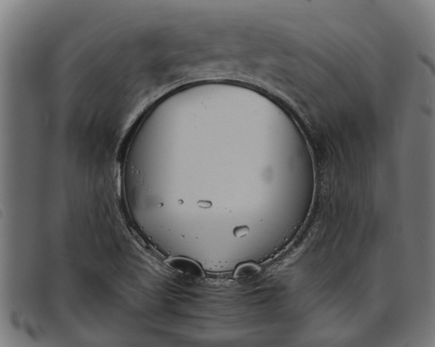 X0000097801509200803281023