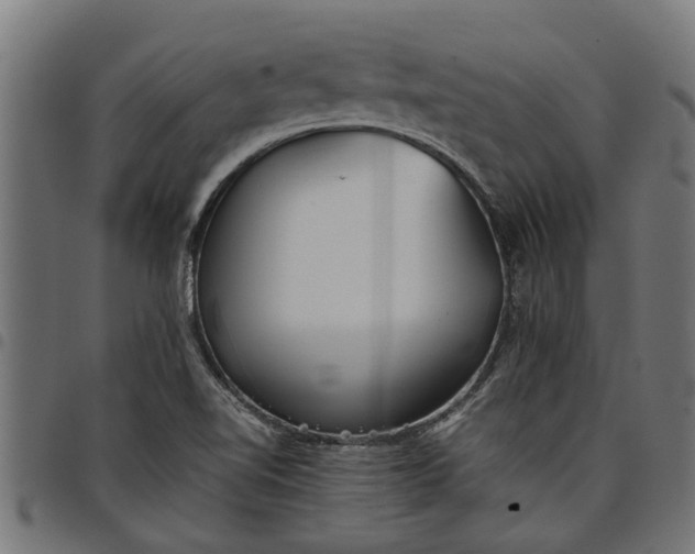 X0000097801510200803281023