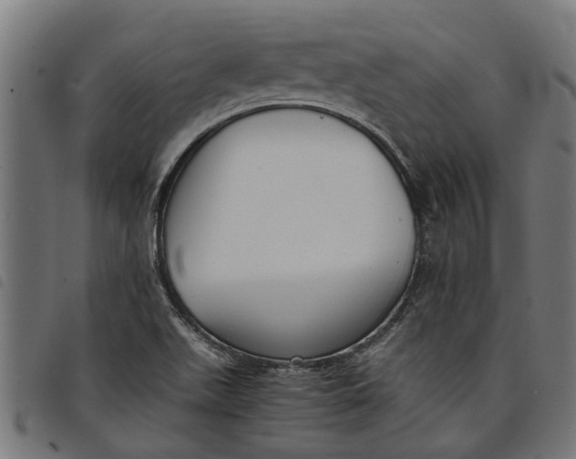 X0000097801511200803281023