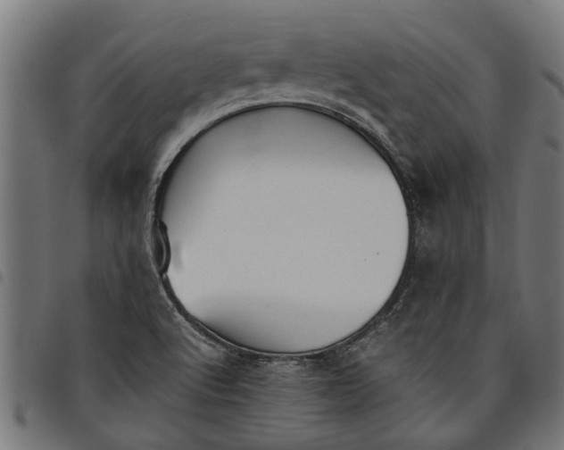 X0000097801512200803281023