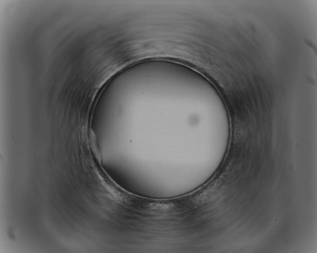 X0000097801513200803281023