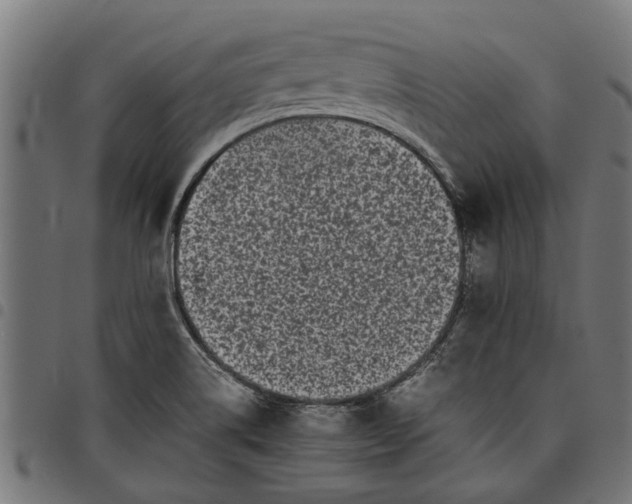 X0000097801514200803281023