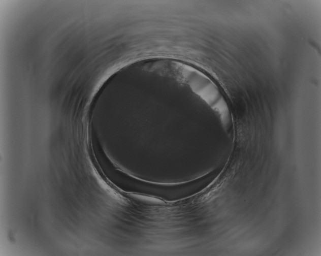 X0000097801515200803281023