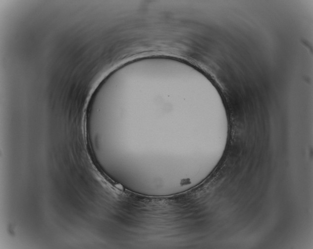 X0000097801516200803281023