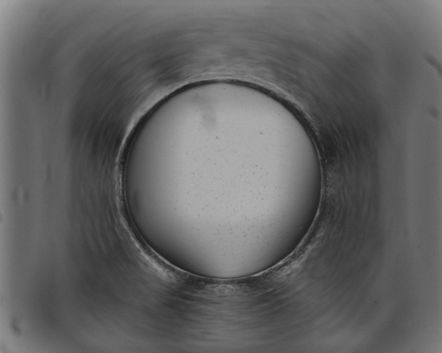 X0000097801517200803281023