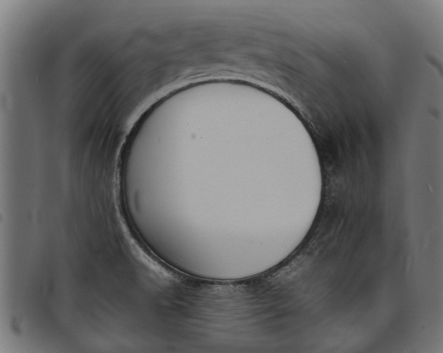 X0000097801518200803281023