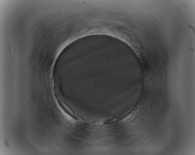 X0000097801519200803281023