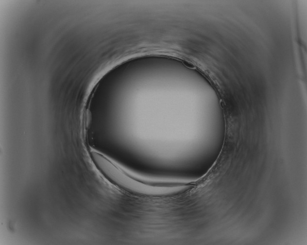 X0000097801520200803281023