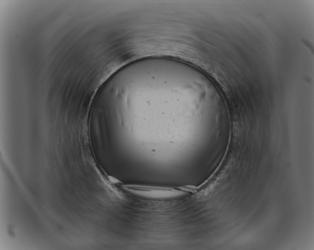 X0000097801521200803281023