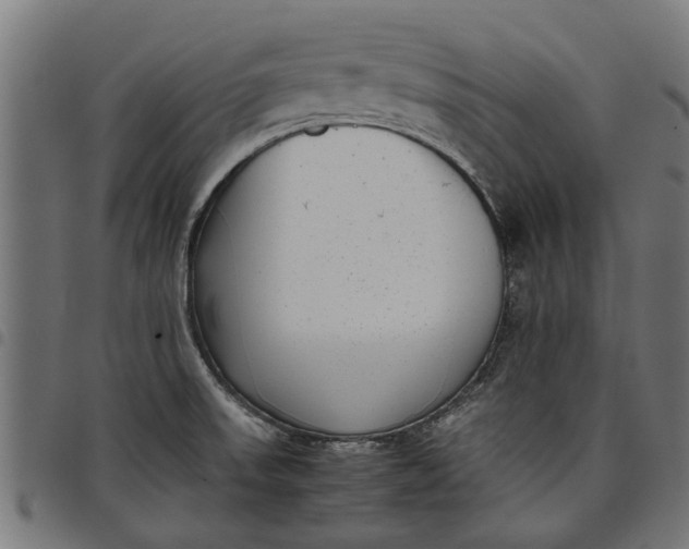 X0000097801523200803281024