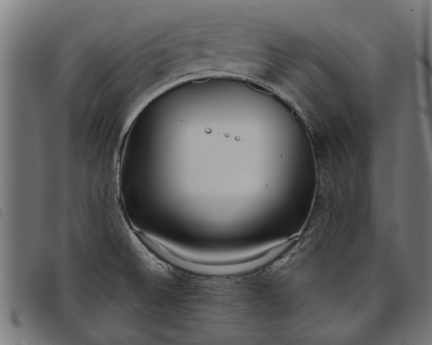 X0000097801524200803281024