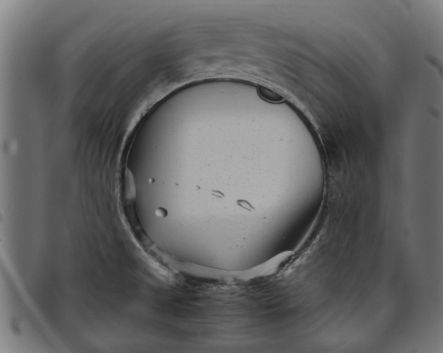 X0000097801525200803281024