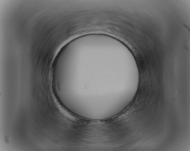 X0000097801526200803281024