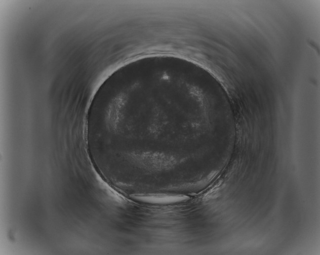 X0000097801527200803281024