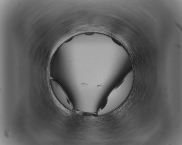 X0000097801528200803281024