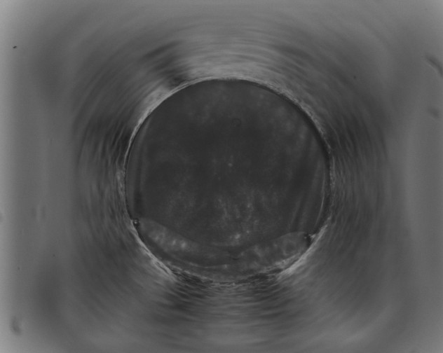 X0000097801529200803281024